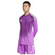 Adidas Ανδρική ποδοσφαιρική φανέλα Tiro 25 Competition Goalkeeper Jersey
